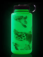 32oz Wide Mouth Bottle - Glo Wyld